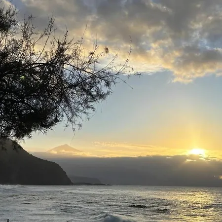 Ocean Whisper