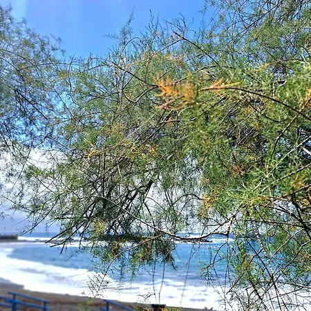 Appartement Ocean Whisper *